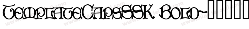 TemplateCapsSSK Bold字体转换